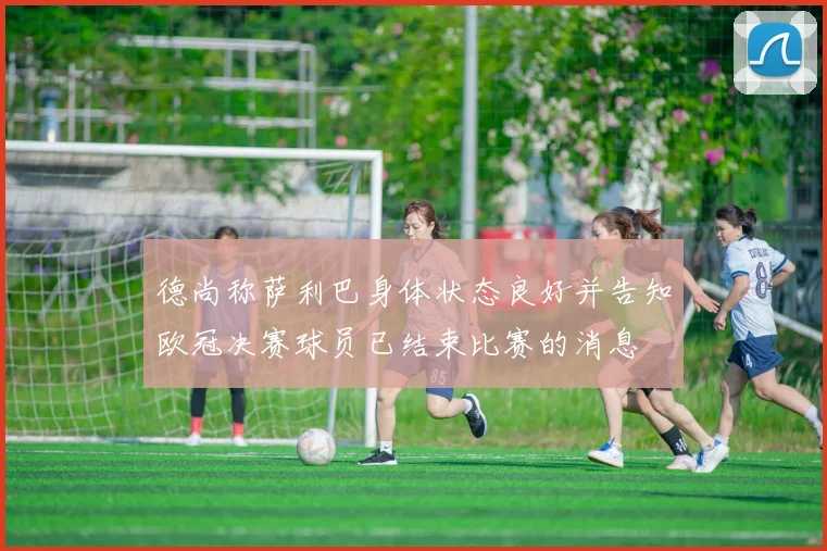 德尚称萨利巴身体状态良好并告知欧冠决赛球员已结束比赛的消息